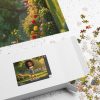 Jen's Adult Puzzle Fun (110, 252, 520, 1014-piece) - Thumbnail Image 12
